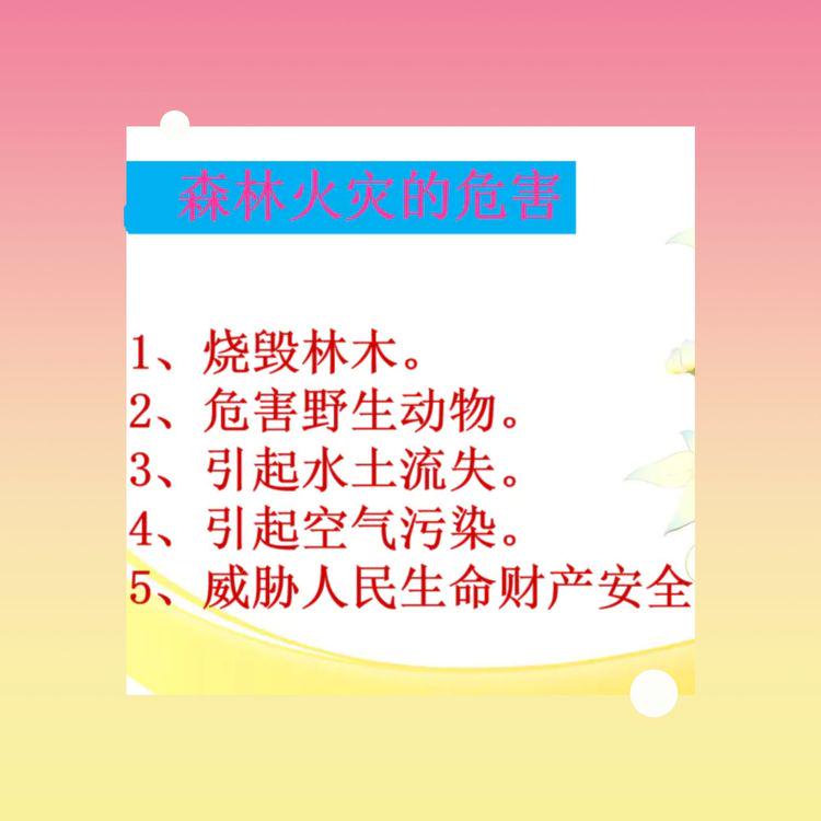 公开 新闻中心 学校动态二,致家长的一封信   "森林防火主题班会"后